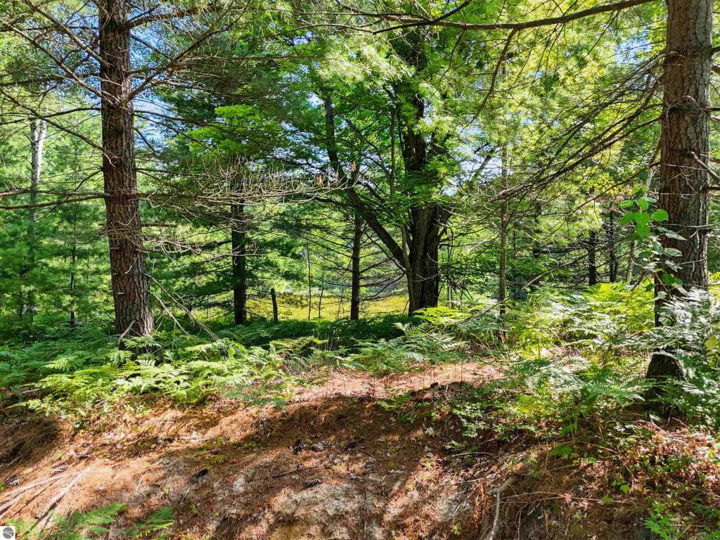 Image 12 of property listing at 00 Arnold Road, Manton, MI 49663