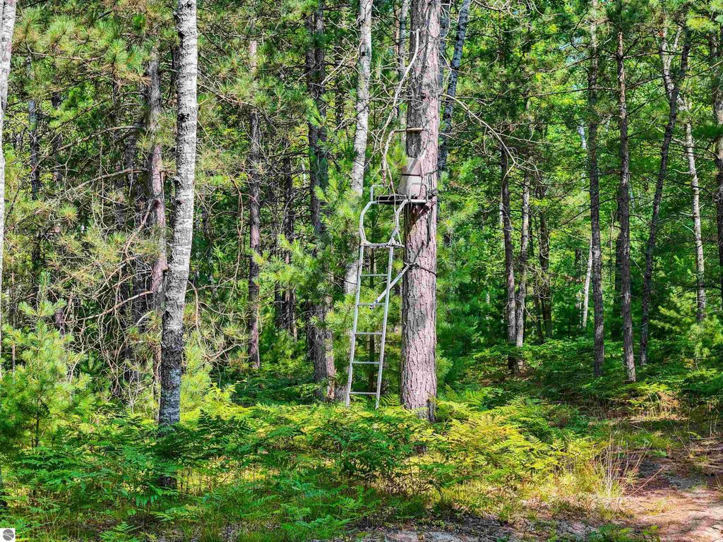 Image 13 of property listing at 00 Arnold Road, Manton, MI 49663