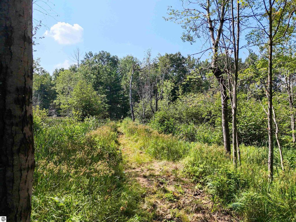 Image 14 of property listing at 00 Arnold Road, Manton, MI 49663