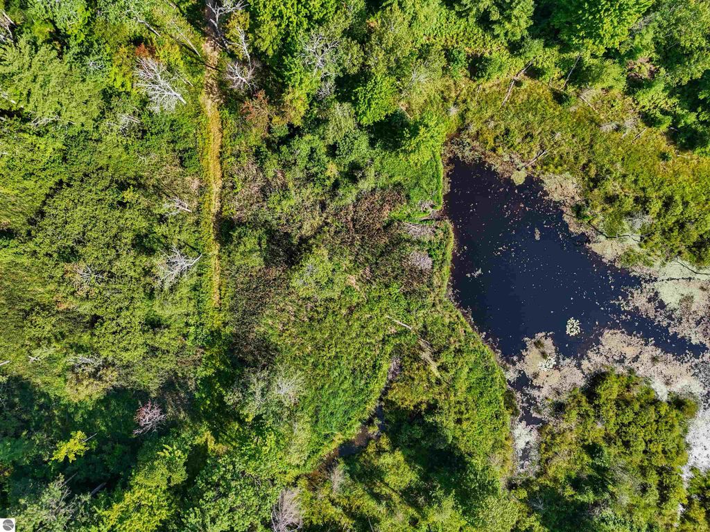 Image 3 of property listing at 00 Arnold Road, Manton, MI 49663