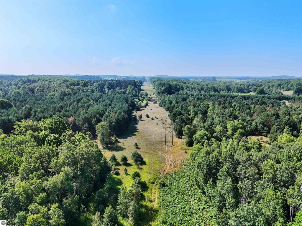 Image 4 of property listing at 00 Arnold Road, Manton, MI 49663