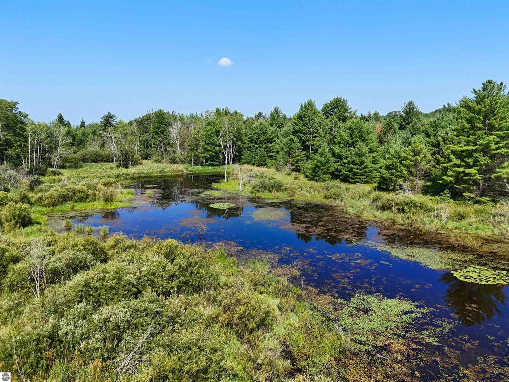 Image 5 of property listing at 00 Arnold Road, Manton, MI 49663