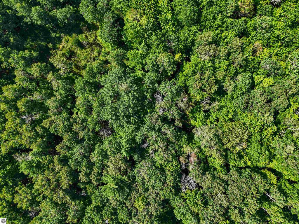 Image 6 of property listing at 00 Arnold Road, Manton, MI 49663