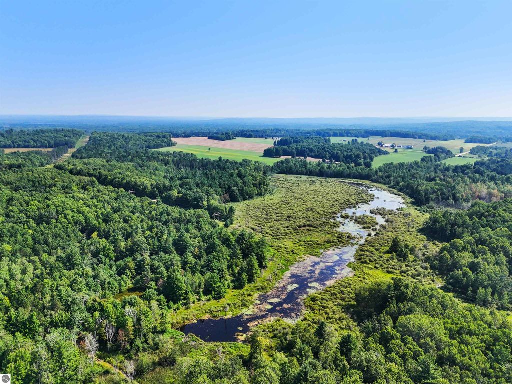 Image 7 of property listing at 00 Arnold Road, Manton, MI 49663