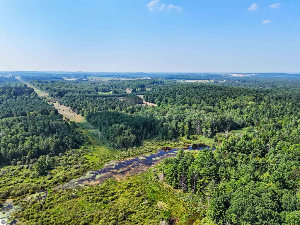 Image 9 of property listing at 00 Arnold Road, Manton, MI 49663