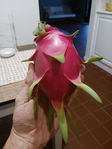 14817 Snail Trail, Loxahatchee Groves, FL 33470