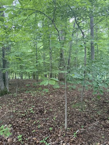 0 Dry Creek Lane, Winchester, TN 37398