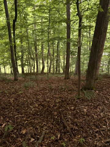 0 Dry Creek Lane, Winchester, TN 37398