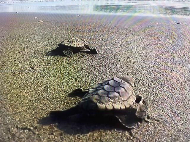 19670 Beach Rd B323, Tequesta, FL 33469