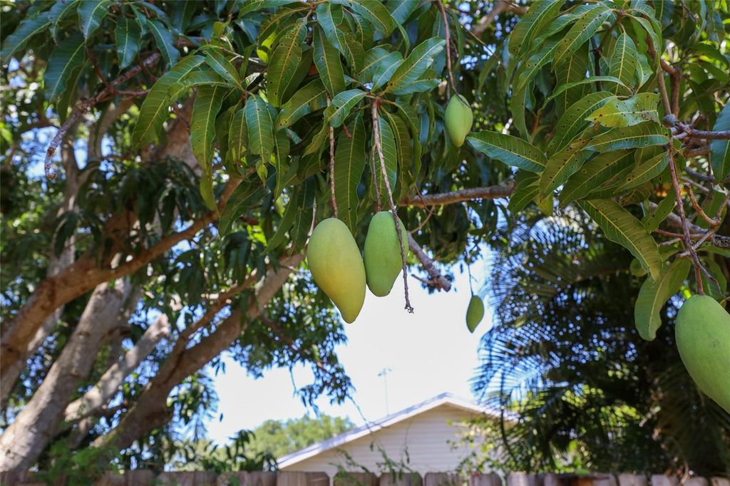 Image 46 of property listing at 4505 33RD AVENUE W, Bradenton, FL 34209