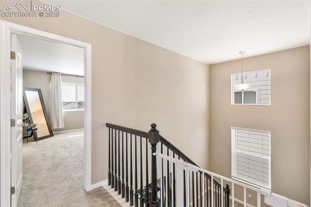 6372 Bodacious Circle, Colorado Springs, CO 80923