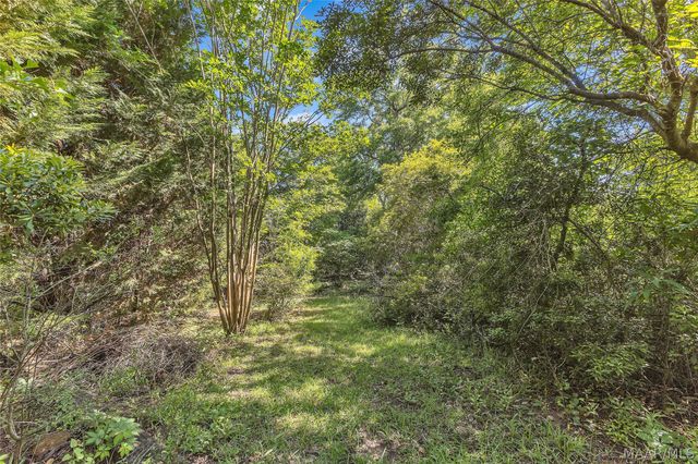 221 Doe Drive, Prattville, AL 36067