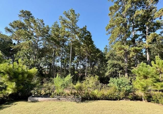 135 Harlequin Duck Court, Magnolia, TX 77354