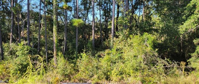 135 Harlequin Duck Court, Magnolia, TX 77354