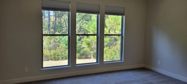 135 Harlequin Duck Court, Magnolia, TX 77354