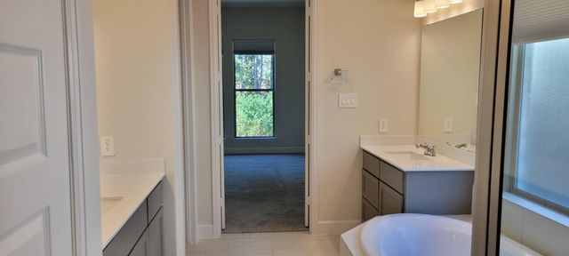 135 Harlequin Duck Court, Magnolia, TX 77354