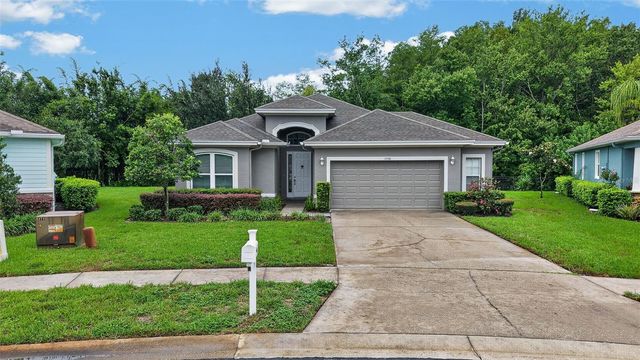 11156 MERGANSER WAY, New Port Richey, FL 34654