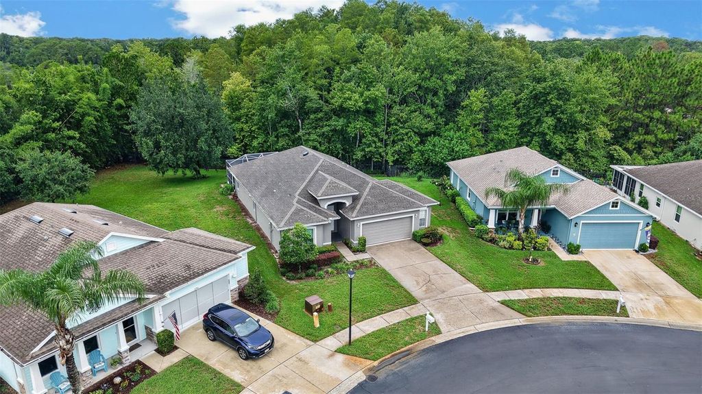 Image 59 of property listing at 11156 MERGANSER WAY, New Port Richey, FL 34654