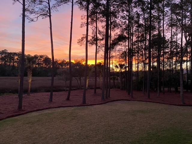 2992 Pignatelli Crescent, Mount Pleasant, SC 29466