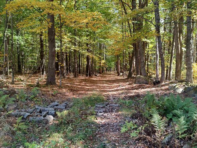 21 Trask Mountain Road, Wolfeboro, NH 03894