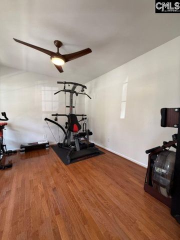 173 Oldtown Drive, Lexington, SC 29072