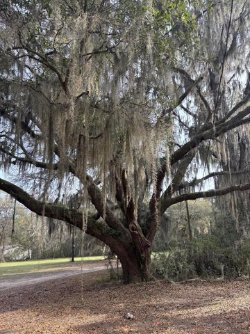 7778 Indigo Hill Road, Edisto Island, SC 29438