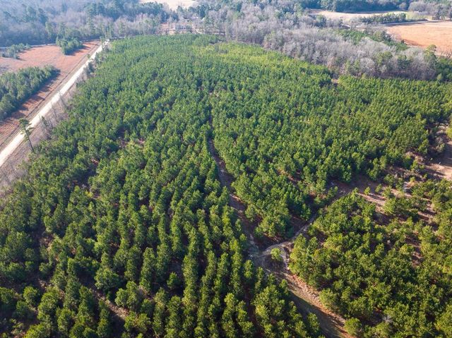 T-1 County Road 4245, De Kalb, TX 75559