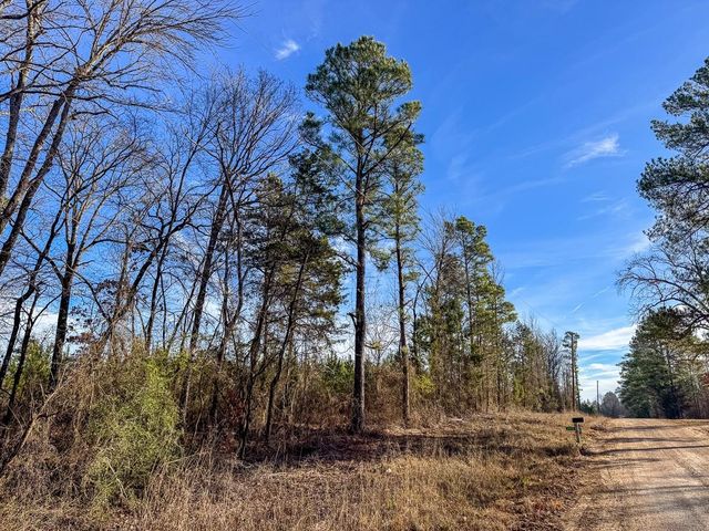 T-1 County Road 4245, De Kalb, TX 75559