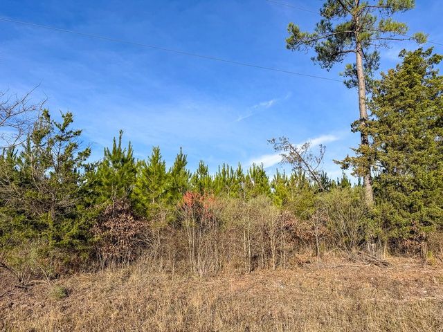 T-1 County Road 4245, De Kalb, TX 75559