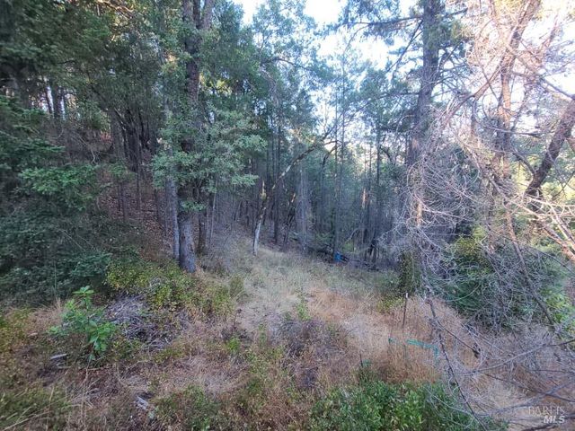 28990 Eel River Ranch Rd, Covelo, CA 95428
