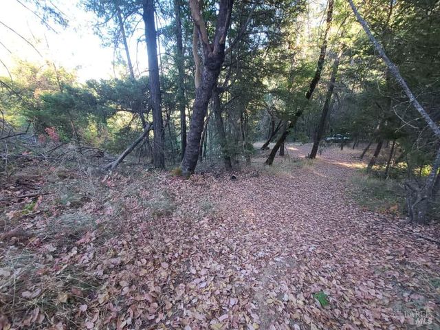 28990 Eel River Ranch Rd, Covelo, CA 95428