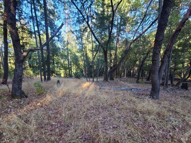 28990 Eel River Ranch Rd, Covelo, CA 95428