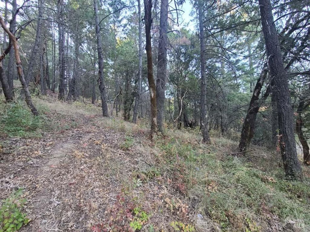 28990 Eel River Ranch Rd, Covelo, CA 95428