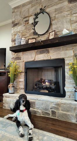 9205 Scarlet Ridge, Ooltewah, TN 37363