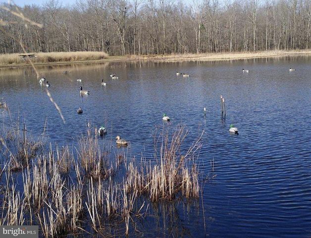 13235 KNOTTS LN, Golts, MD 21635