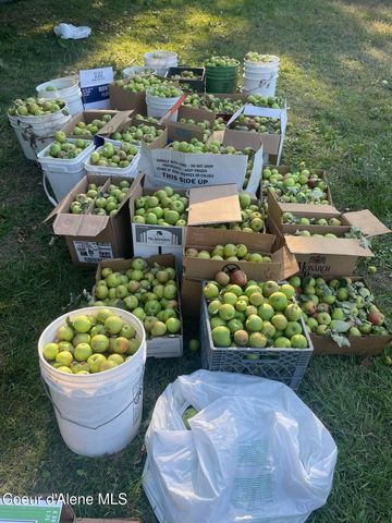 2447 Turner Hill Rd, Bonners Ferry, ID 83805