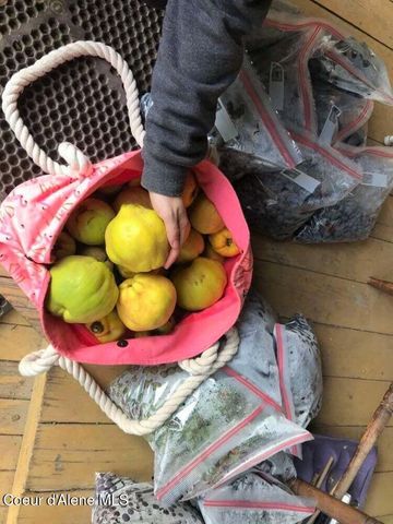 2447 Turner Hill Rd, Bonners Ferry, ID 83805