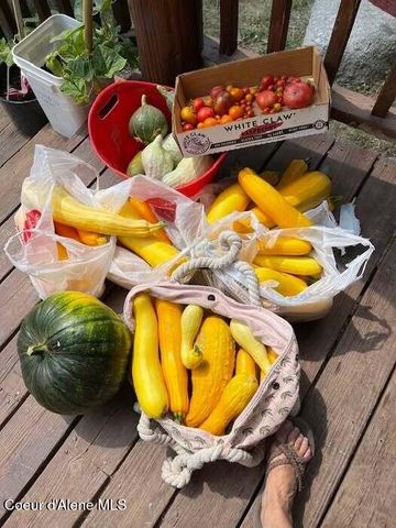 2447 Turner Hill Rd, Bonners Ferry, ID 83805