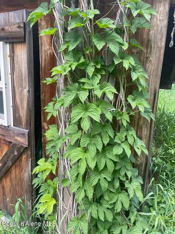 2447 Turner Hill Rd, Bonners Ferry, ID 83805