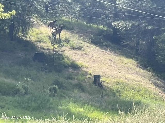 2447 Turner Hill Rd, Bonners Ferry, ID 83805