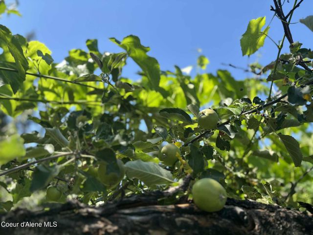 2447 Turner Hill Rd, Bonners Ferry, ID 83805