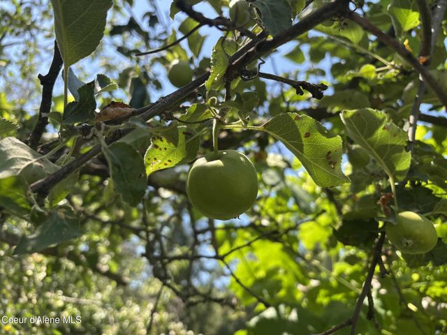 2447 Turner Hill Rd, Bonners Ferry, ID 83805