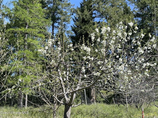 2447 Turner Hill Rd, Bonners Ferry, ID 83805