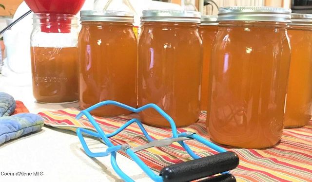 2447 Turner Hill Rd, Bonners Ferry, ID 83805