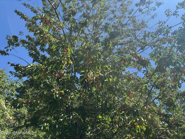 2447 Turner Hill Rd, Bonners Ferry, ID 83805