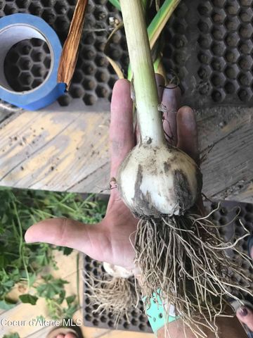 2447 Turner Hill Rd, Bonners Ferry, ID 83805