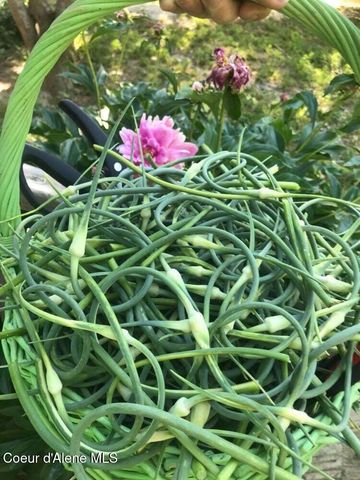 2447 Turner Hill Rd, Bonners Ferry, ID 83805