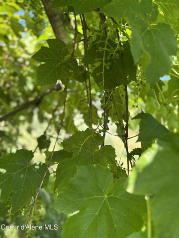 2447 Turner Hill Rd, Bonners Ferry, ID 83805