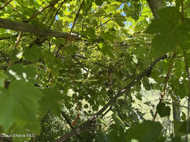 2447 Turner Hill Rd, Bonners Ferry, ID 83805