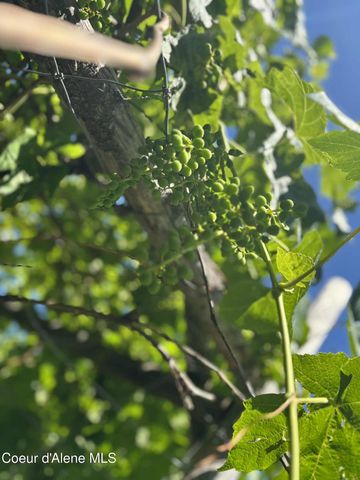 2447 Turner Hill Rd, Bonners Ferry, ID 83805